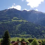 The - Alpentherme Inklusive 公寓 *